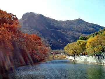 新澳天天开奖资料大全旅游团，贞子的图片